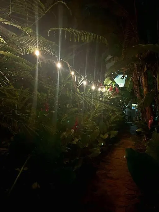 Jungle Rooftop Villa, Near Beach Samana