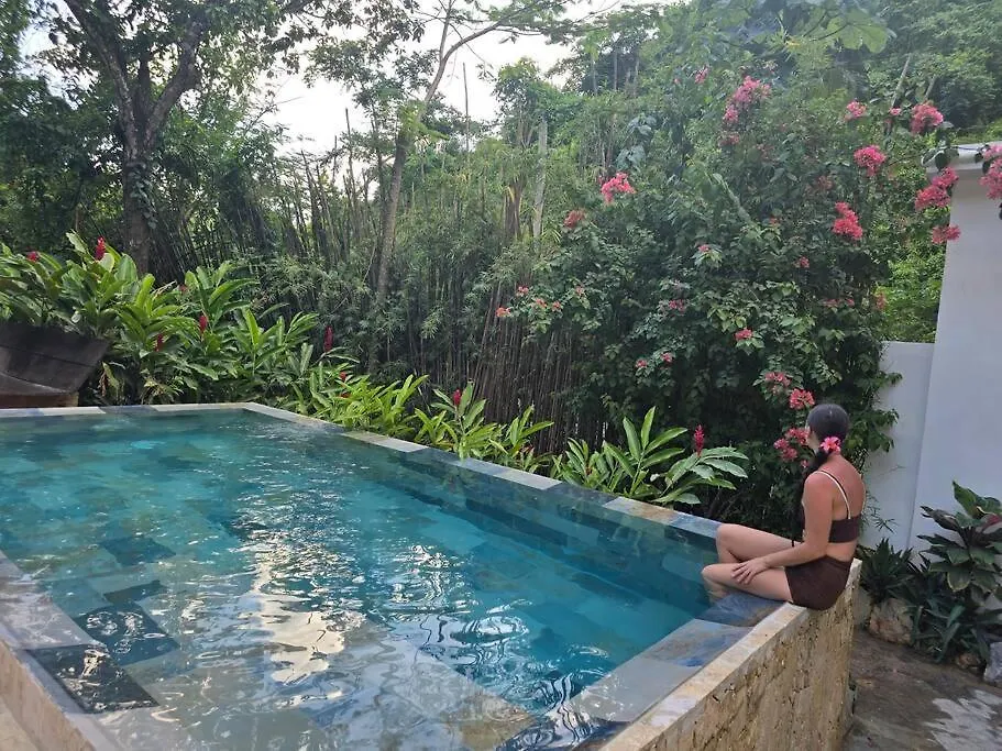 Jungle Rooftop Villa, Near Beach Samana