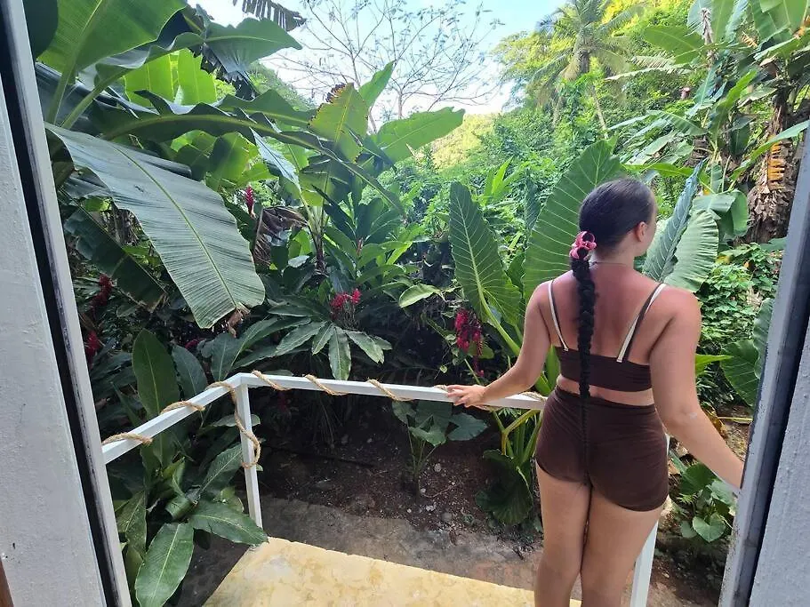 Jungle Rooftop Villa, Near Beach Samana