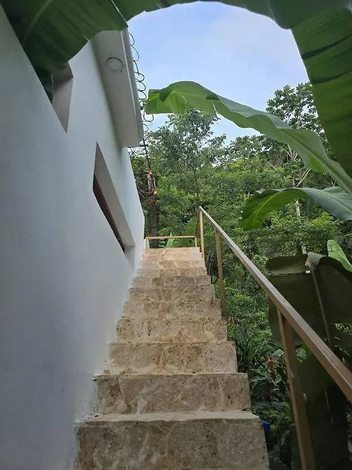 Jungle Rooftop Villa, Near Beach Samana 0*,