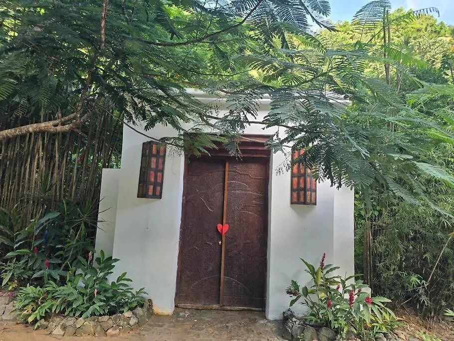 Jungle Rooftop Villa, Near Beach Samana Dominican Republic