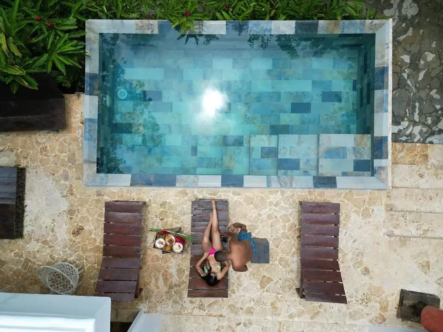 Jungle Rooftop Villa, Near Beach Samana